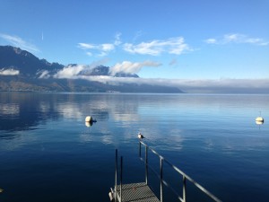 IMG_5233