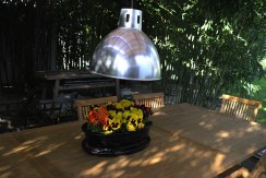 IMG_8565